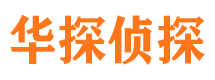 沅江侦探公司